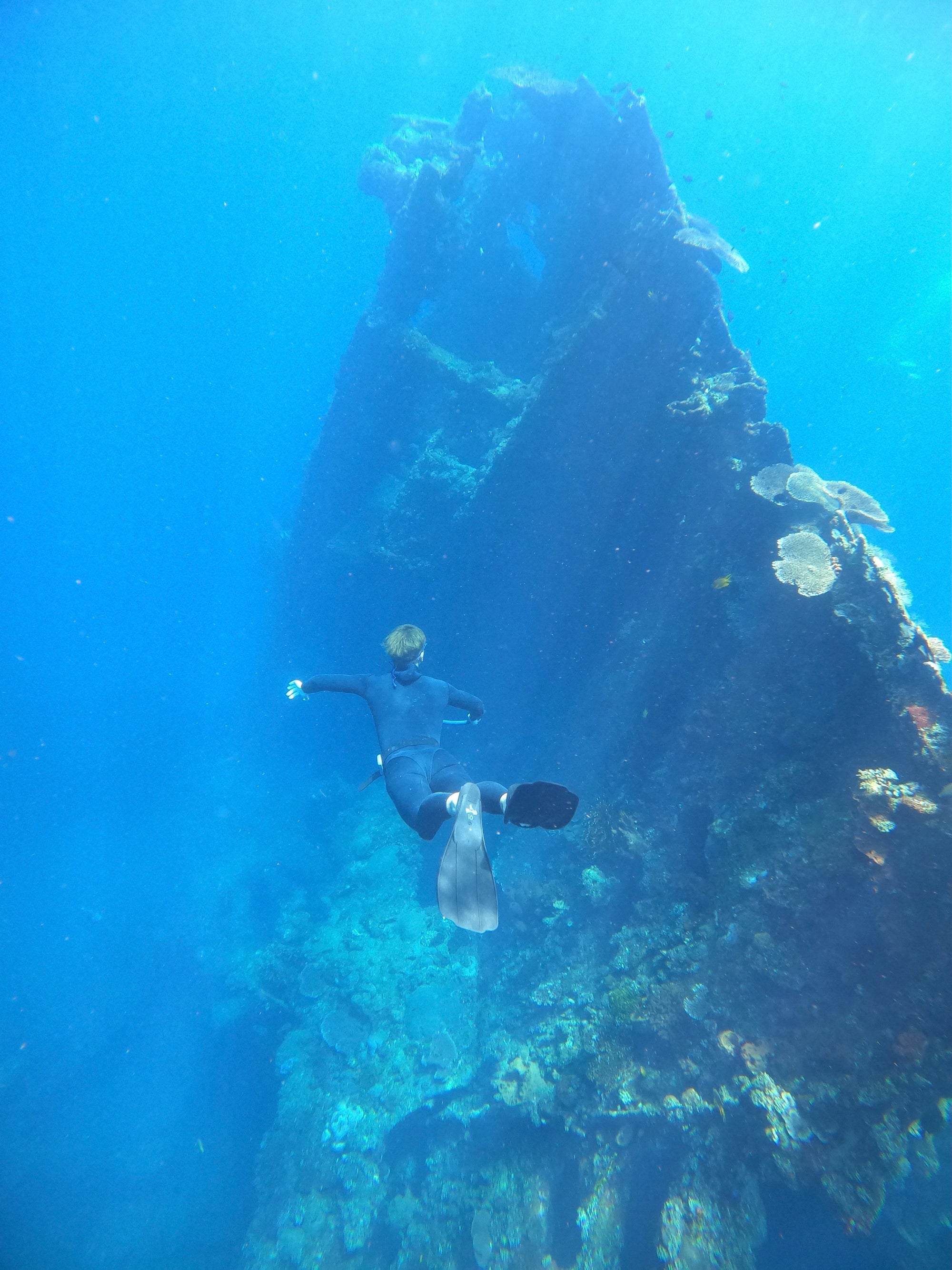 đ Apnoetauchen auf Bali: Mein Freediving-Erlebnis am Liberty Wreck in Tulamben