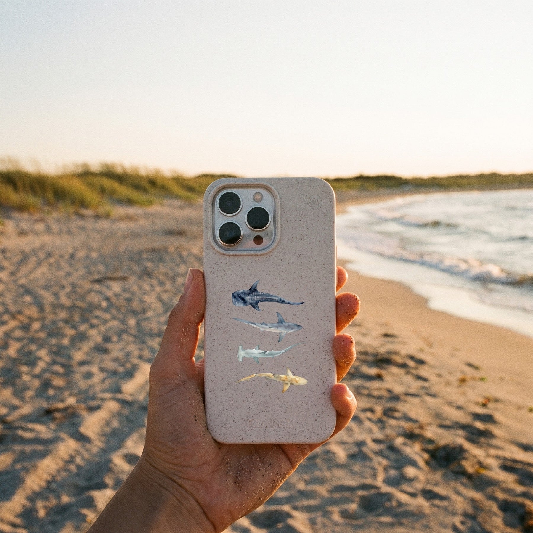 Biologisch abbaubare Handyhülle iPhone 16e Sharkproject — kompostierbar — in der Hand